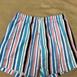 Striped Multicolor Swim Shorts